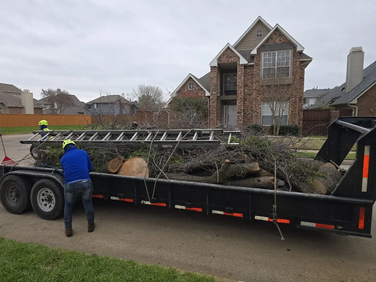 Expert Tree Removal with proper safety equipment in Grand Coteau